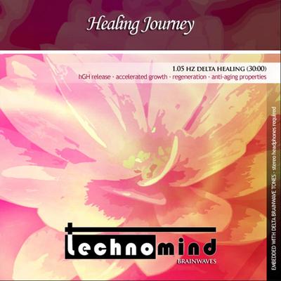 1.05 Hz Delta Healing By Technomind's cover