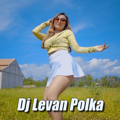 Dj Levan Polka's cover