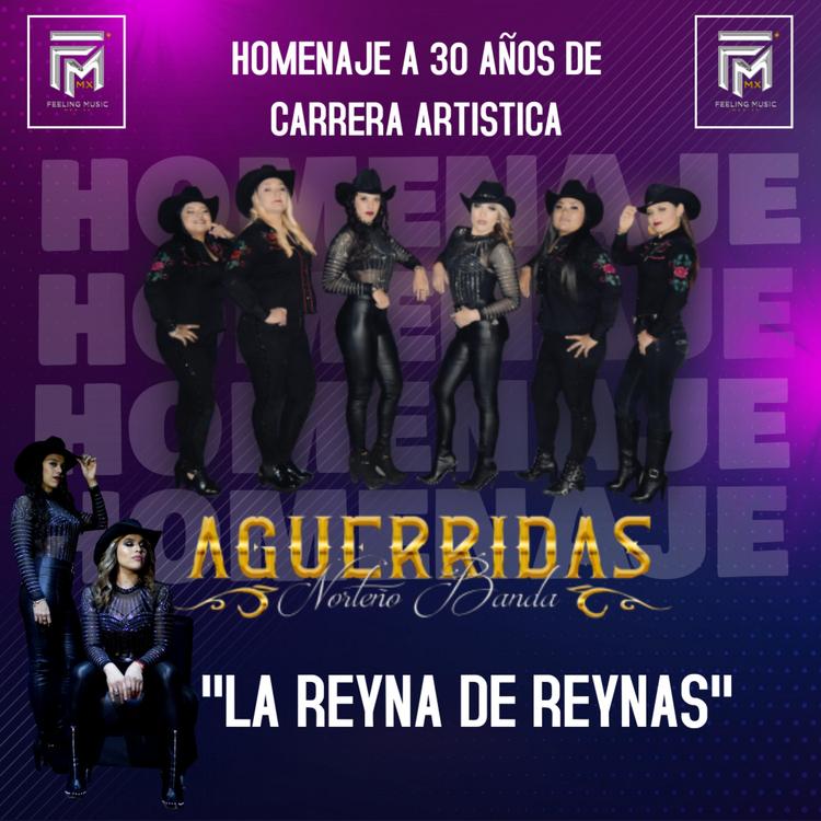 Aguerridas Norteño Banda's avatar image