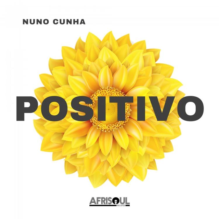 Nuno Cunha's avatar image