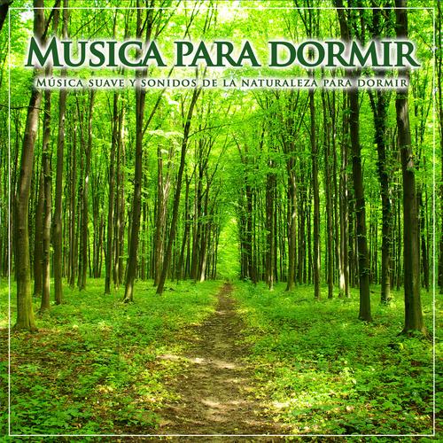 Musica Para Dormir Rapido Official TikTok Music - List of songs and albums  by Musica Para Dormir Rapido