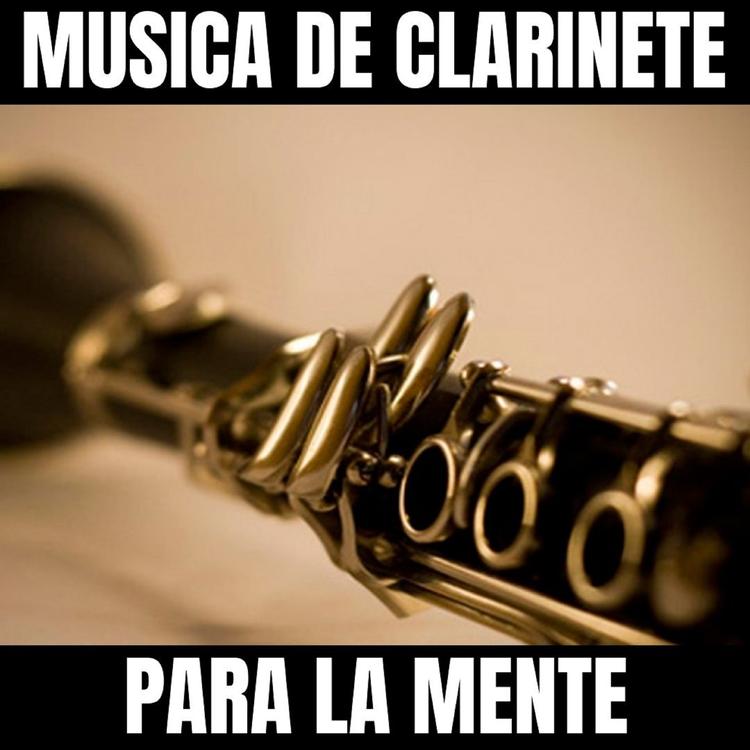 Musica De Clarinete Para La Mente's avatar image