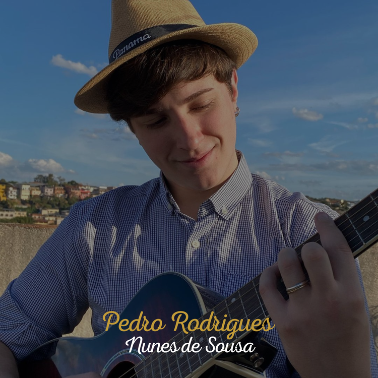 Pedro Rodrigues Nunes de Sousa's avatar image