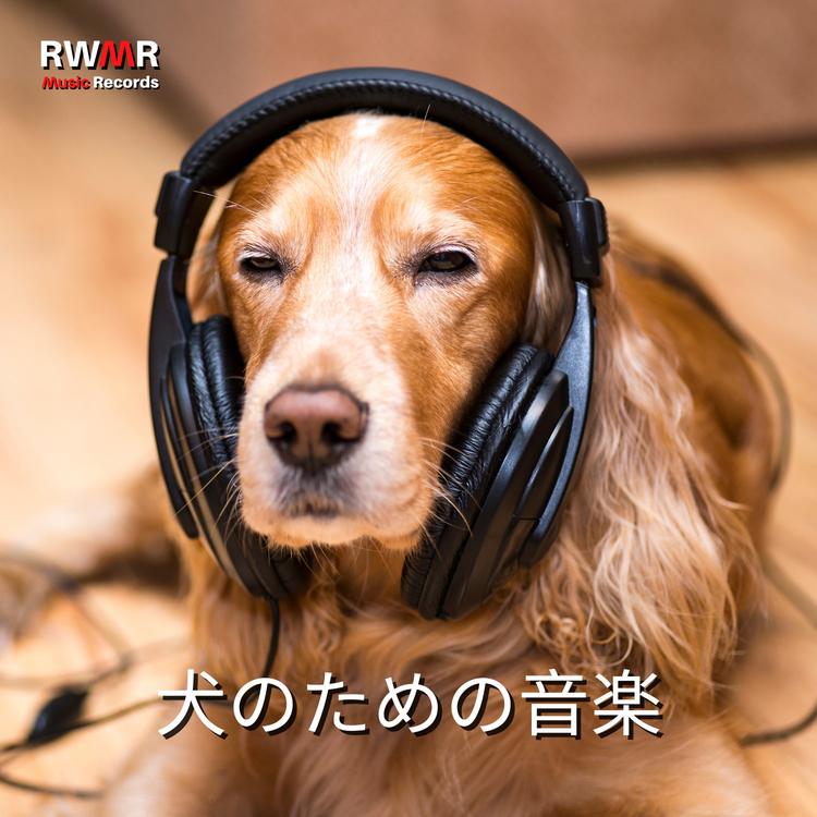 RW なだめるような犬のメロディー's avatar image