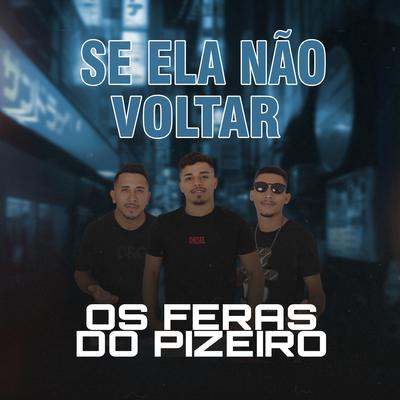 Se Ela Não Voltar (Cover) By Os Feras do Pizeiro's cover