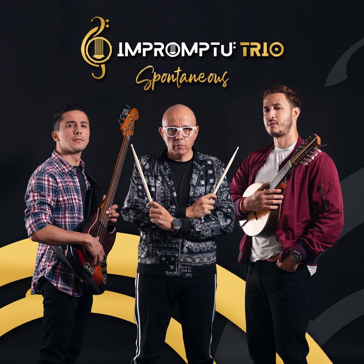 Impromptu Trio's avatar image