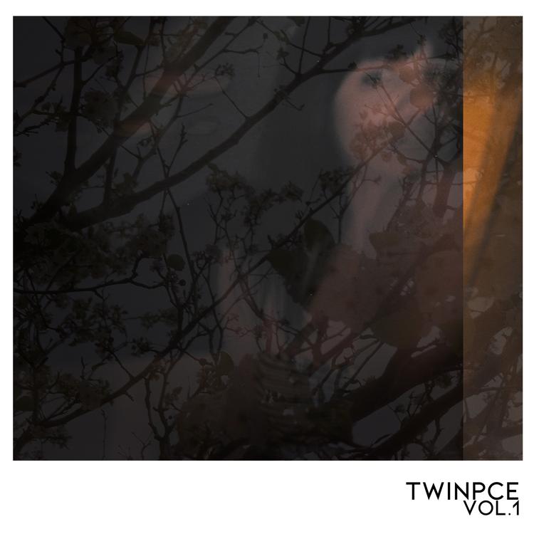 TWINPCE's avatar image