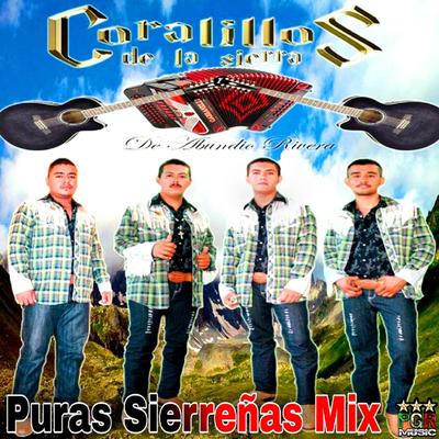 Puras Sierreñas Mix's cover