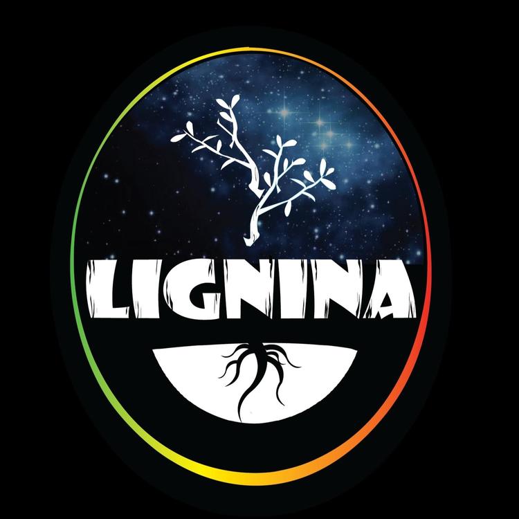 Lignina's avatar image