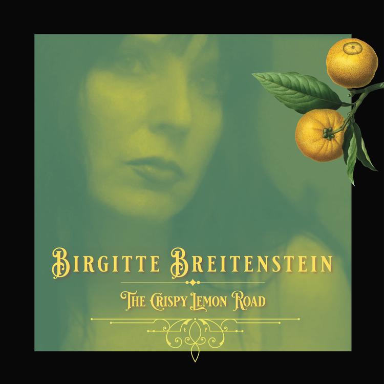 Birgitte Breitenstein's avatar image