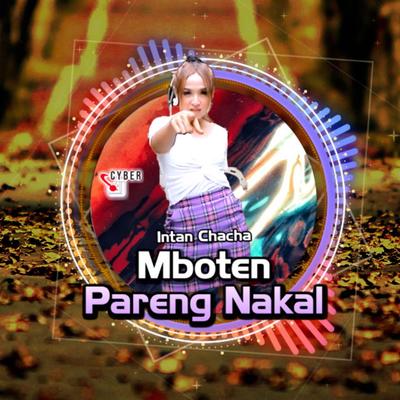 Mboten Pareng Nakal (Remix)'s cover