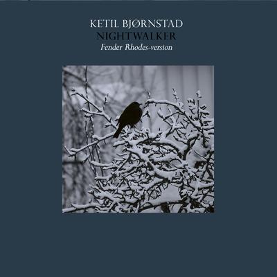 Ketil Bjørnstad's cover