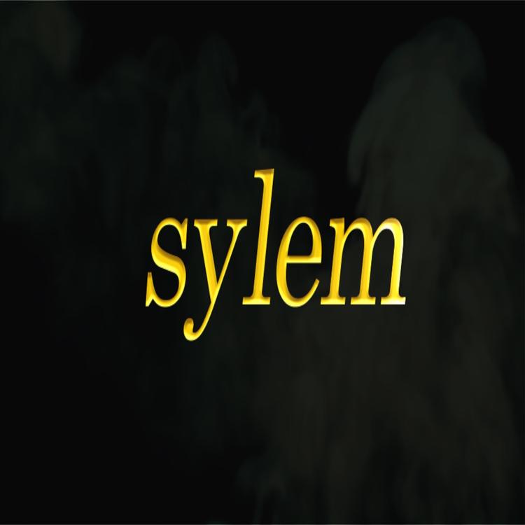 Sylem's avatar image