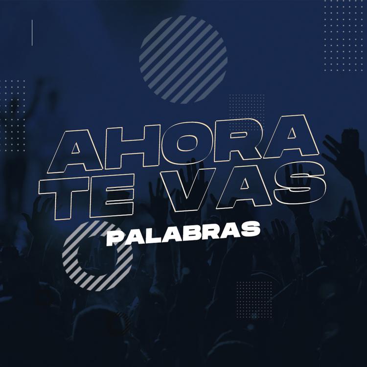 Palabras's avatar image