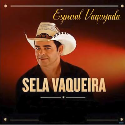 Vaqueiro Acabado By Sela Vaqueira's cover