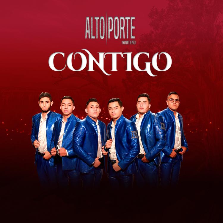 Alto Porte Norteño's avatar image