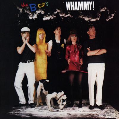 Song for a Future Generation By The B-52's's cover