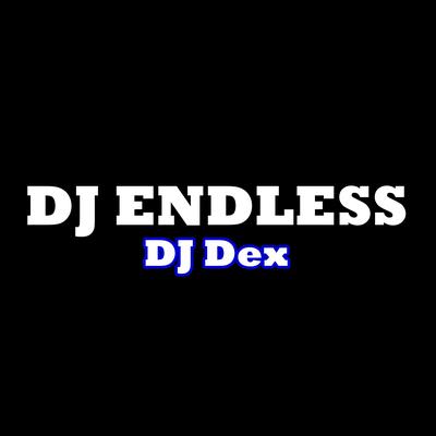 Dj Endless's cover