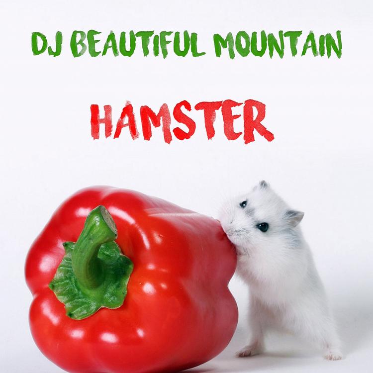 DJ Beautiful Mountain's avatar image