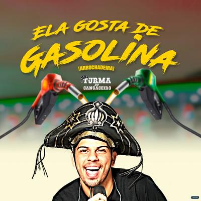 Ela Gosta de Gasolina (Arrochadeira) By Turma do Cangaceiro's cover