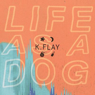 K.Flay's cover