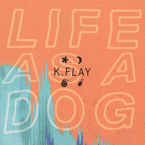 K.Flay's cover