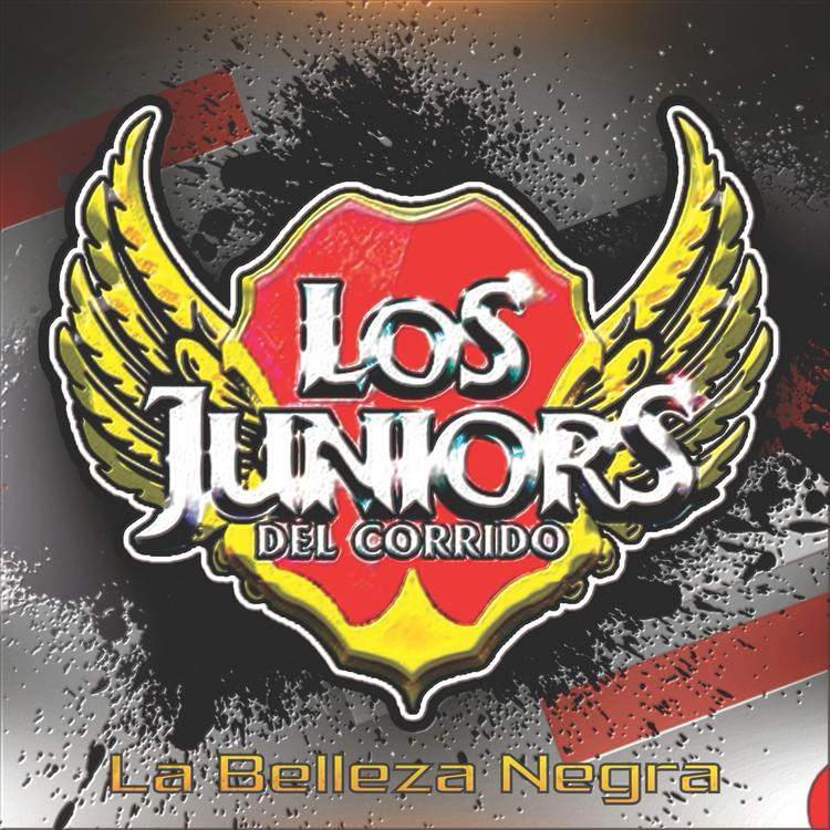 Los Juniors Del Corrido's avatar image