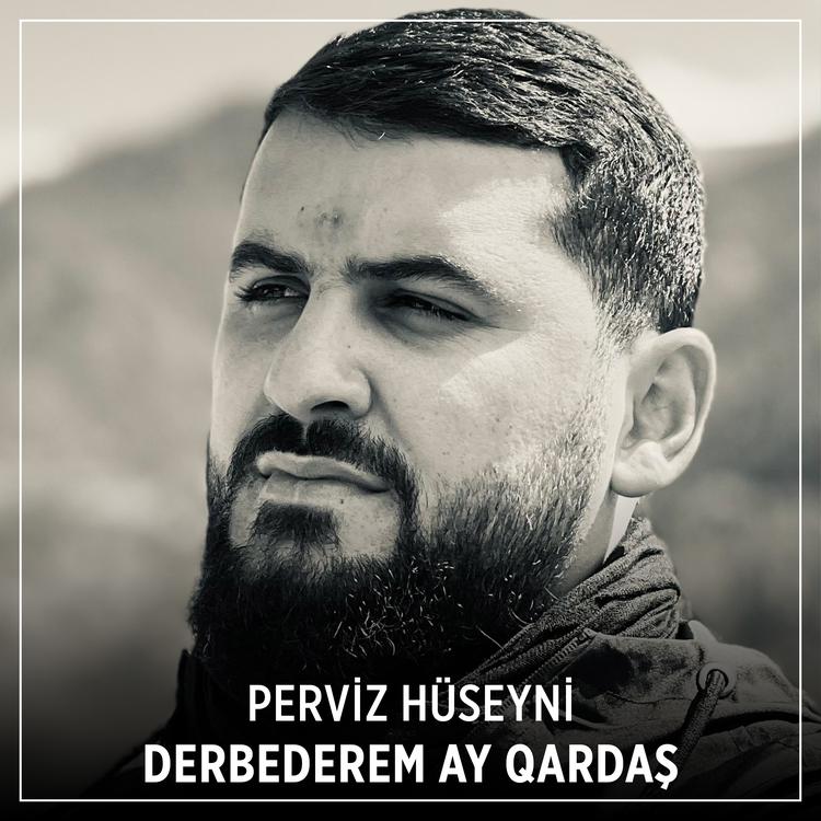 Perviz Huseyni's avatar image
