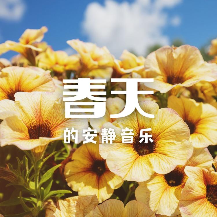 心情's avatar image
