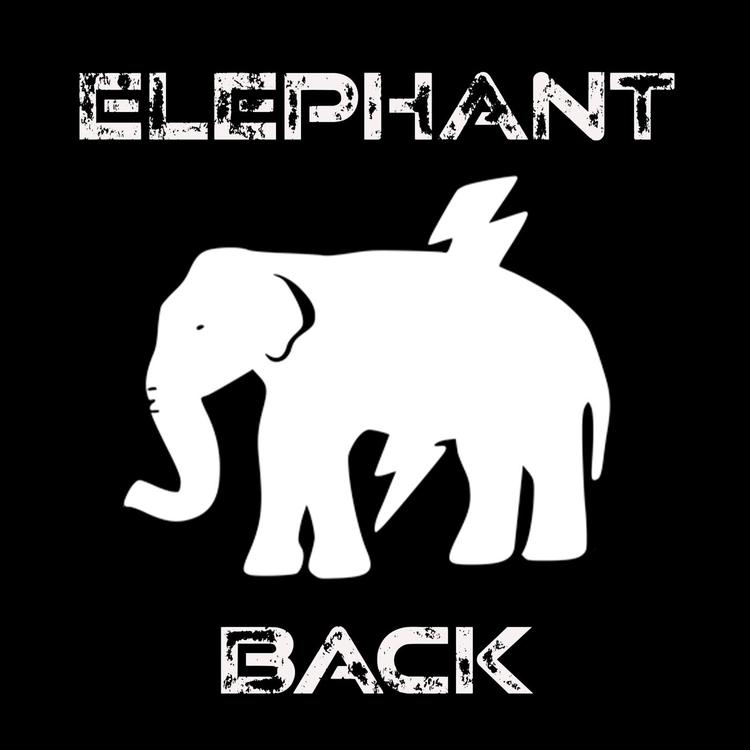 Elephant Back's avatar image