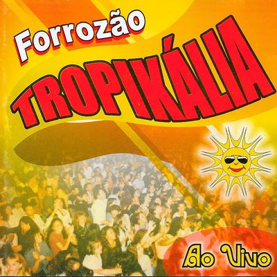 Tentei Te Esquecer (Ao Vivo) By Forrozão Tropykalia's cover