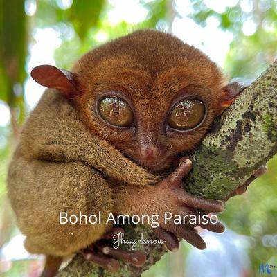 Bohol Among Paraiso's cover