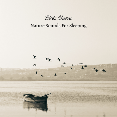 Nature Sounds For Sleeping's cover