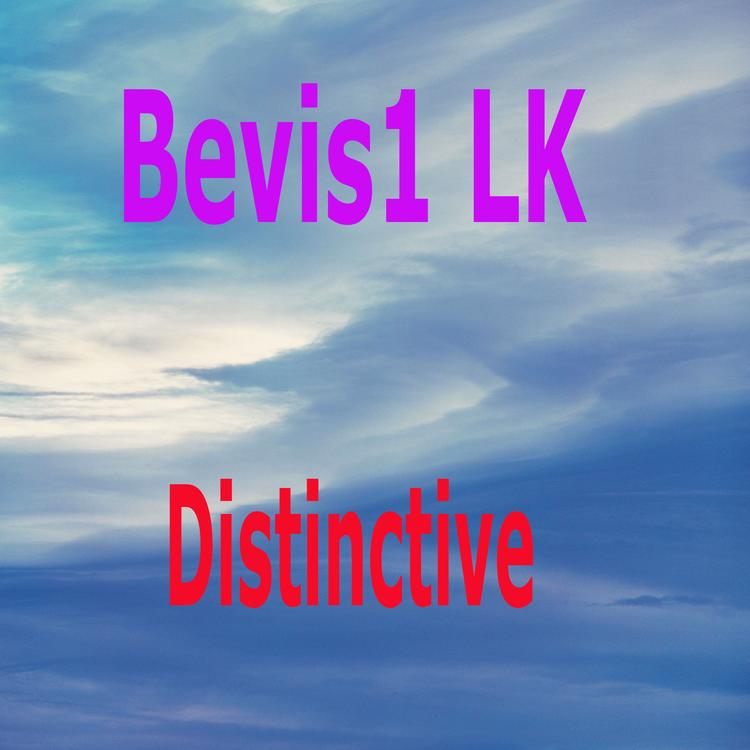 Bevis1 LK's avatar image