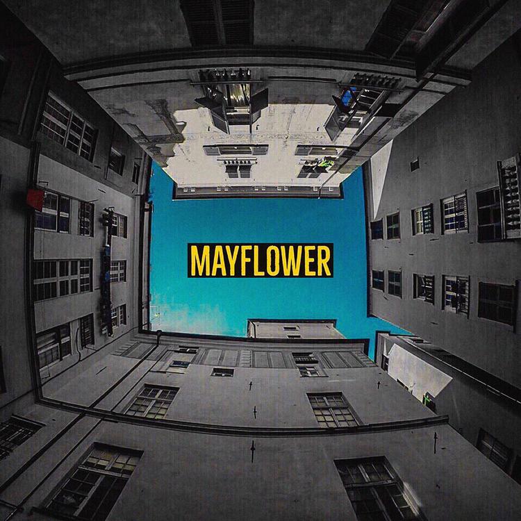 MayFlower's avatar image