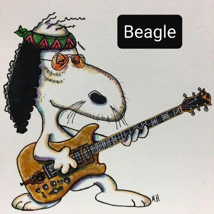 Beagle's avatar image