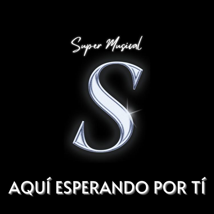 Super Musical's avatar image