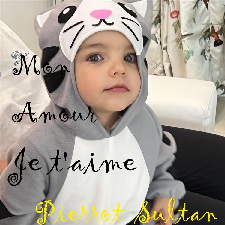Pierrot Sultan's avatar image