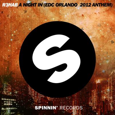 A Night In (EDC Orlando 2012 Anthem)'s cover
