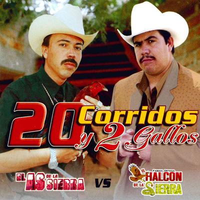 20 Corridos y 2 Gallos's cover