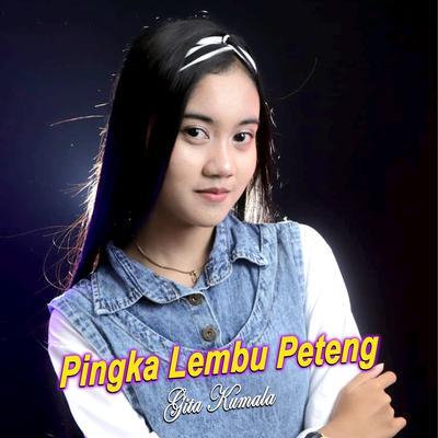 Pingka Lembu Peteng's cover