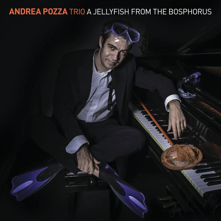 Andrea Pozza's avatar image