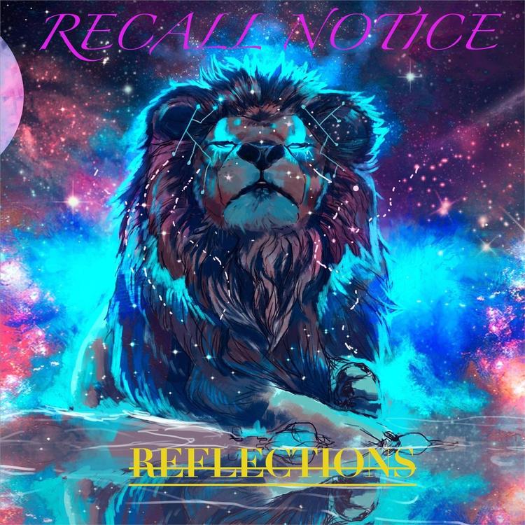 Recall Notice's avatar image