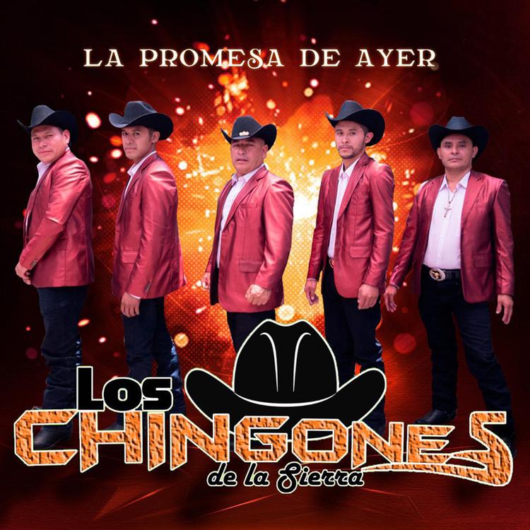 LOS CHINGONES DE LA SIERRA's avatar image