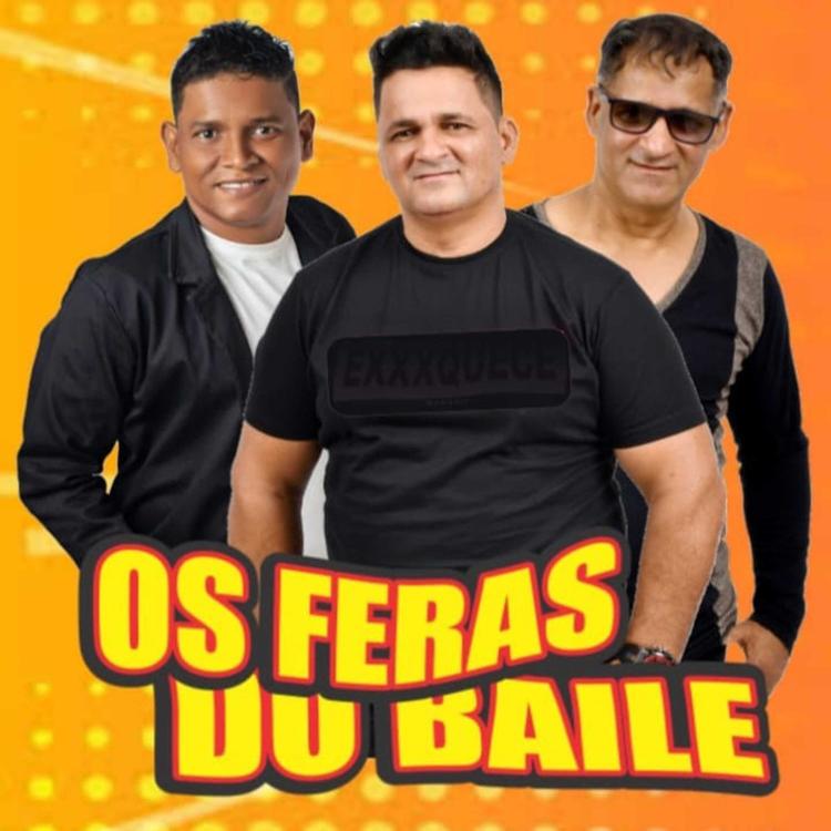 Os feras do baile oficial's avatar image