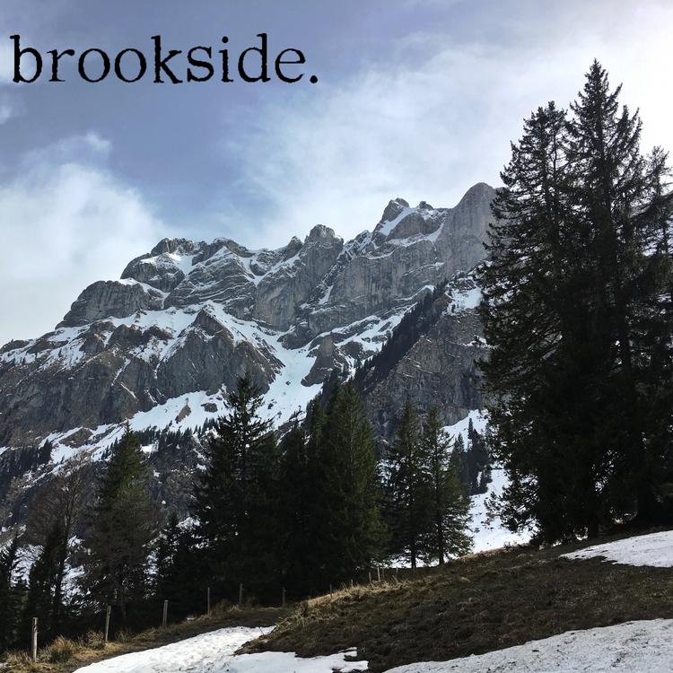 Brookside's avatar image