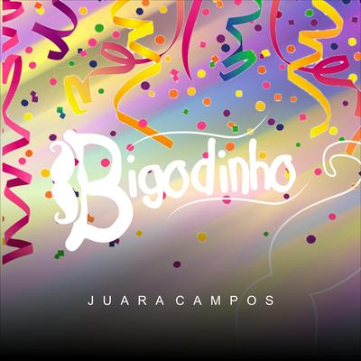 Bigodinho's cover
