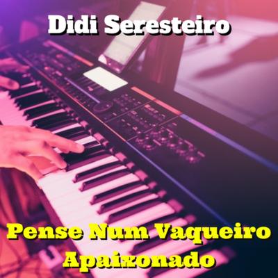 Sanfoninha Choradeira (Cover) By Didi Seresteiro's cover