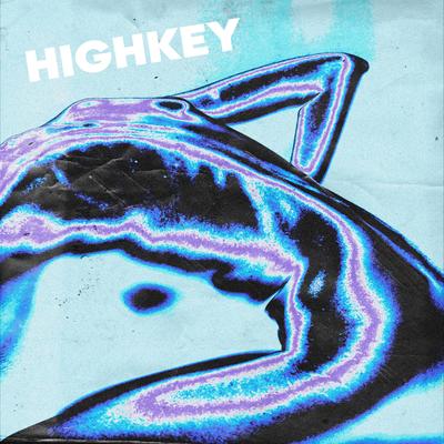 HIGHKEY (SLOWED)'s cover