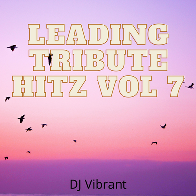 Sun Goes Down (Tribute Version Originally Performed By Lil Nas X) By DJ Vibrant's cover